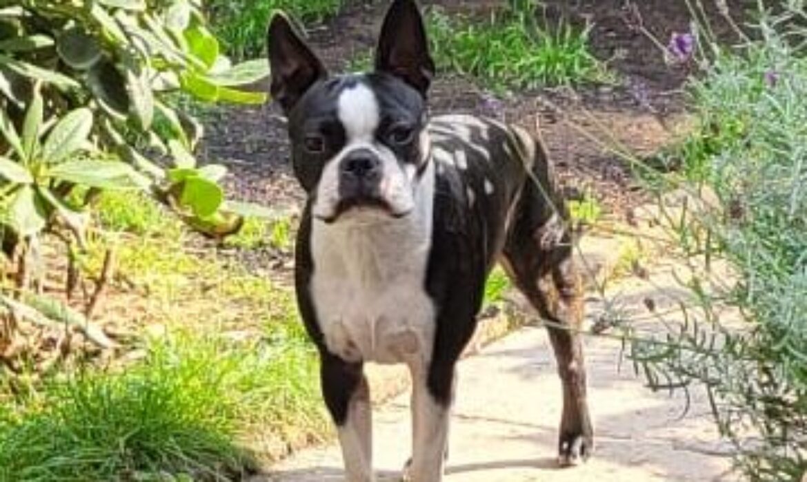 WhatsApp Image 2025-11-19 at 11.40.35