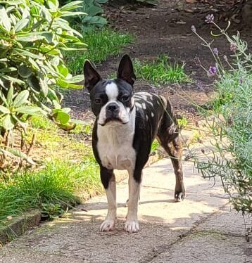 WhatsApp Image 2025-11-19 at 11.40.35