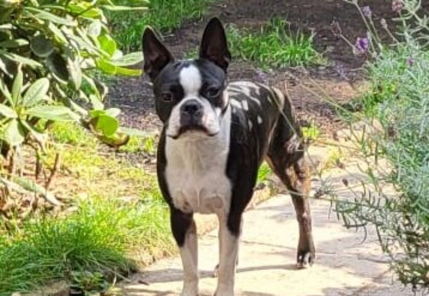 WhatsApp Image 2025-11-19 at 11.40.35