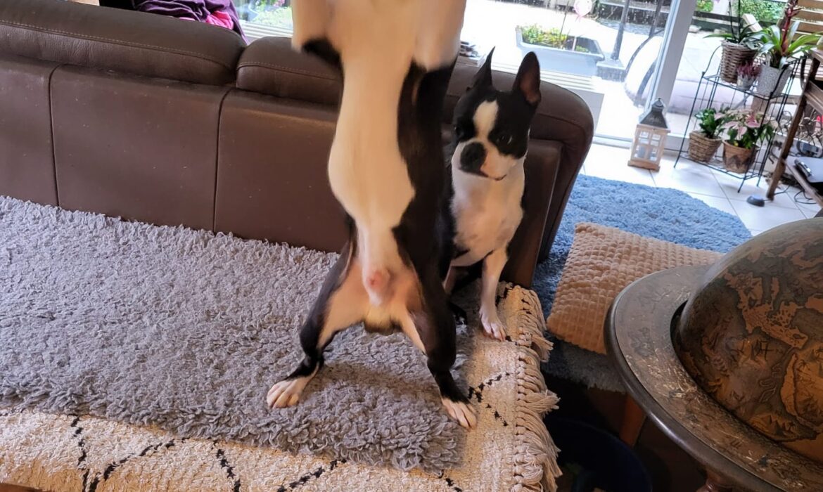 WhatsApp Image 2026-02-18 at 13.31.47