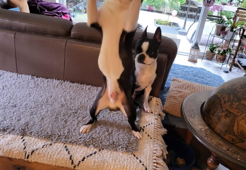 WhatsApp Image 2026-02-18 at 13.31.47