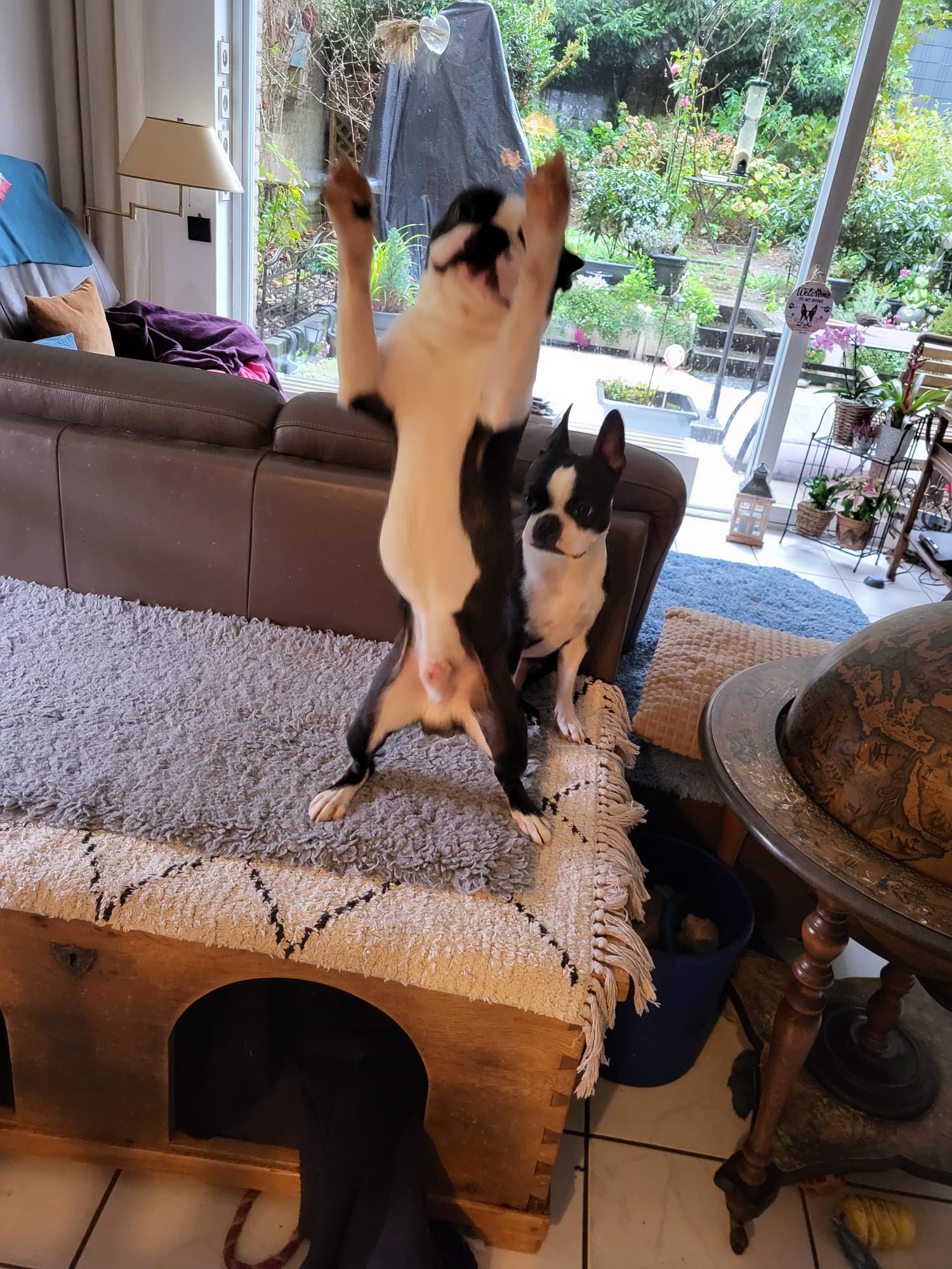 WhatsApp Image 2026-02-18 at 13.31.47