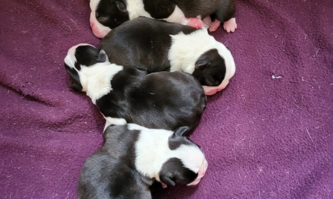 WhatsApp Image 2026-03-15 at 15.52.39