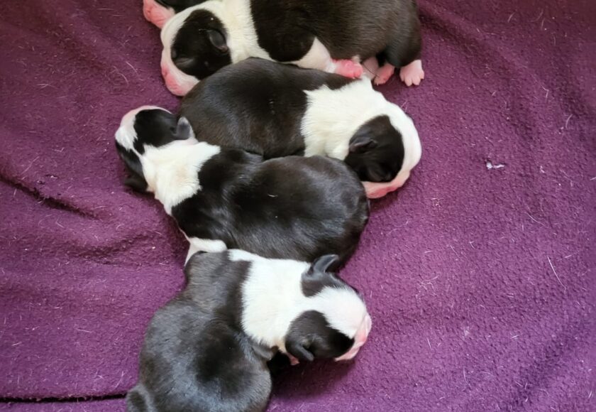 WhatsApp Image 2026-03-15 at 15.52.39