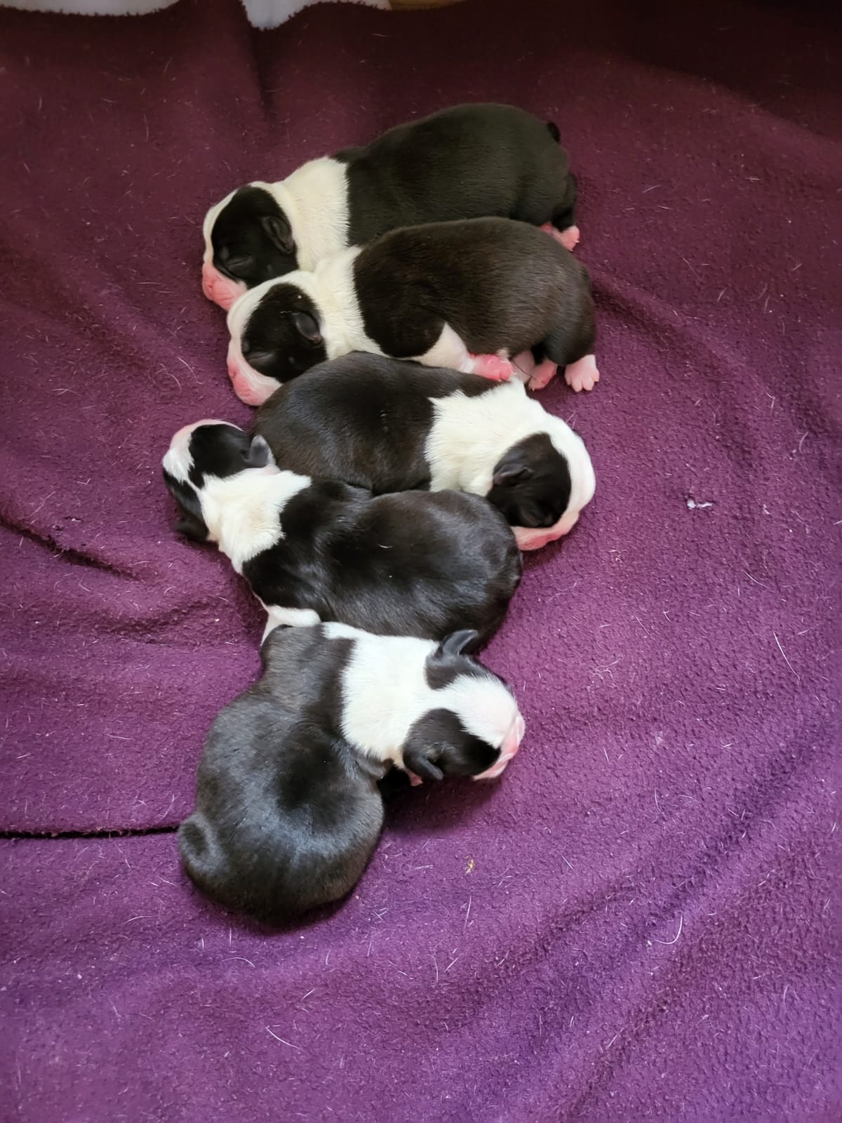 WhatsApp Image 2026-03-15 at 15.52.39